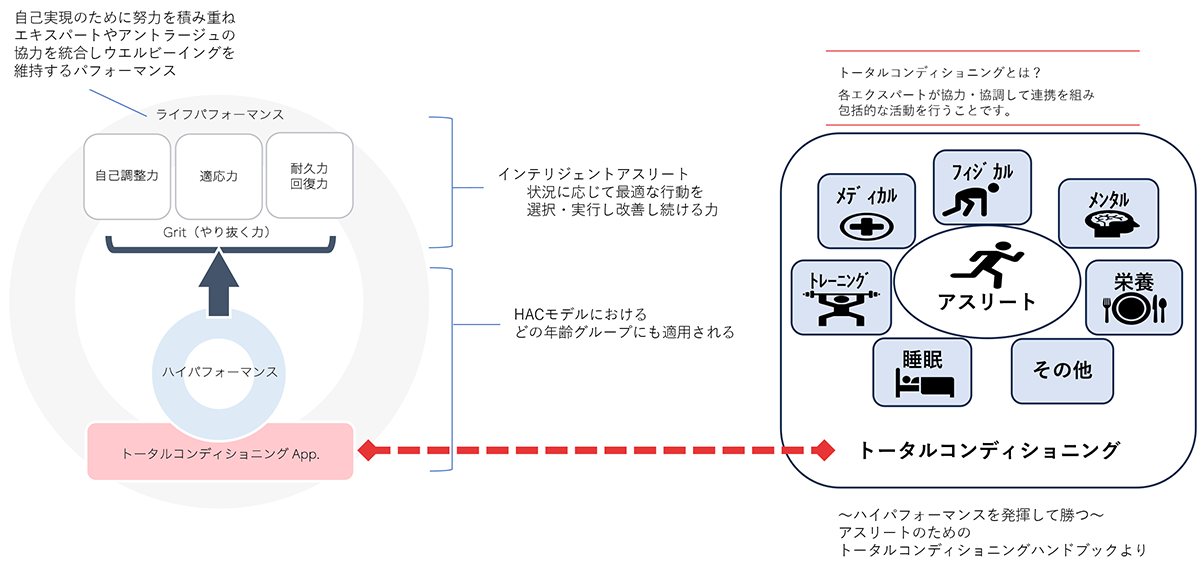 「ピリオダイゼーション調整機能」について